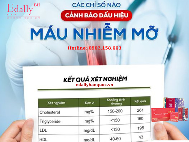 Các chỉ số nào cảnh báo dấu hiệu mỡ máu cao?