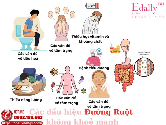 Các dấu hiệu đường ruột không khỏe mạnh