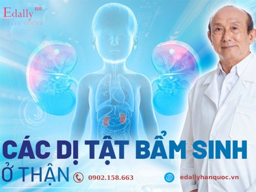 Các Dị Tật Ở Thận Bẩm Sinh Thường Gặp