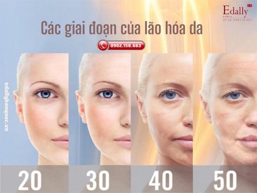 Các Giai Đoạn Lão Hóa Da Của Con Người