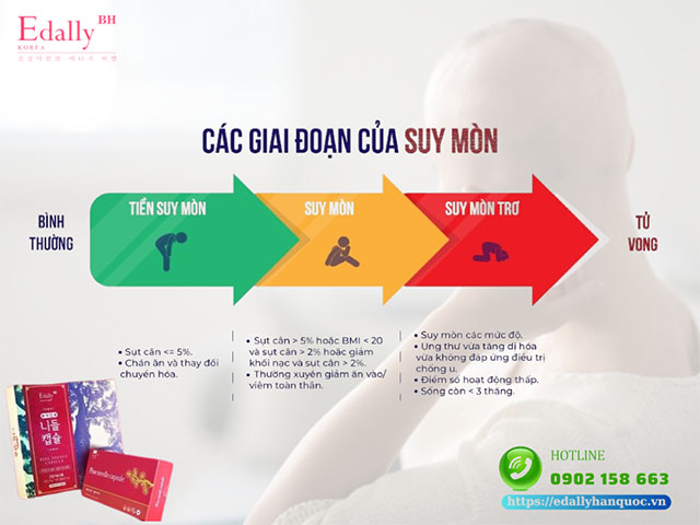 3 giai đoạn suy mòn do ung thư