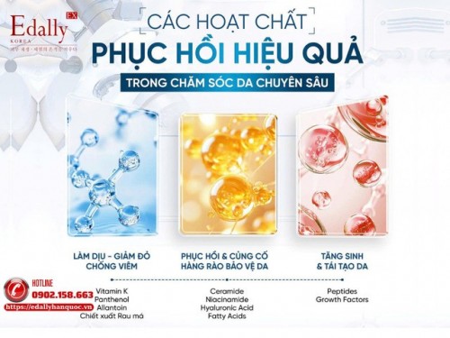 Các Hoạt Chất Phục Hồi Hiệu Quả Trong Chăm Sóc Da Chuyên Sâu