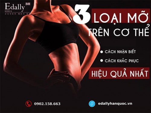 Các Loại Mỡ Trong Cơ Thể? Cách Giảm Mỡ Cơ Thể?