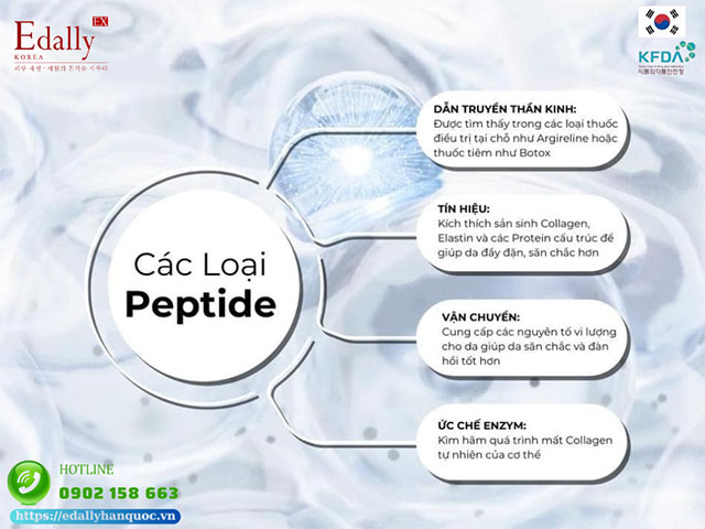 Các loại peptide phổ biến trong mỹ phẩm