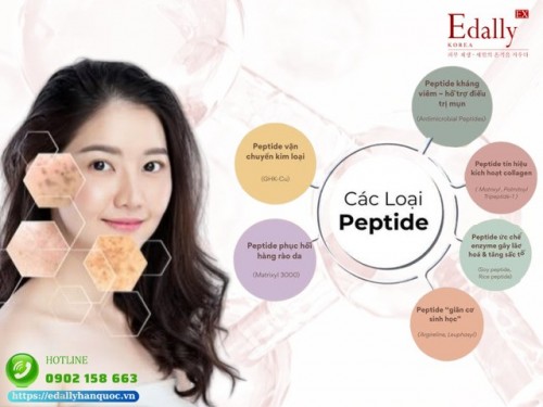 Các Loại Peptide Phổ Biến Trong Mỹ Phẩm Và Công Dụng Của Chúng