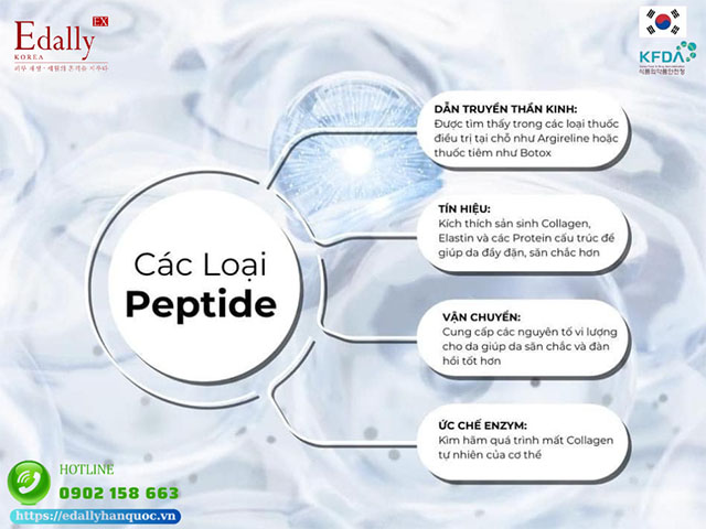 Có bao nhiêu loại peptide?