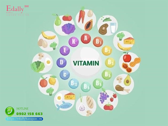 Các loại vitamin thiết yếu đối với cơ thể