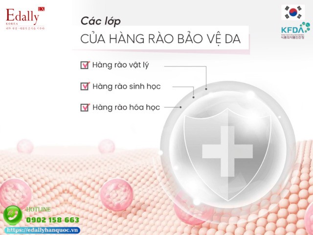 Các lớp của hàng rào bảo vệ da