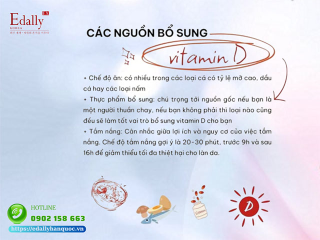 Vitamin D được bổ sung cho cơ thể qua các nguồn nào?