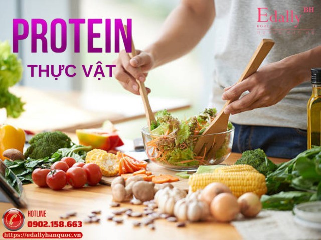 Các nguồn protein thực vật lý tưởng và cách kết hợp thông minh
