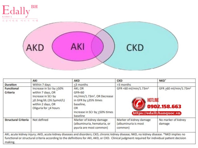 Các tiêu chí chẩn đoán tổn thương thận cấp (AKI) - bệnh thận cấp (AKD) và bệnh thận mạn (CKD)