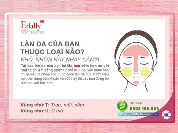 Các Tình Trạng Da Thường Gặp Và Cách Chăm Sóc Da Hiệu Quả