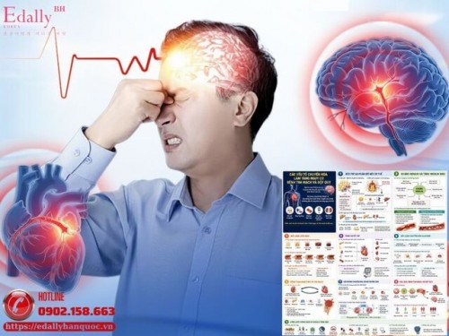 Các Yếu Tố Chuyển Hóa Làm Tăng Nguy Cơ Bệnh Tim Mạch Và Đột Quỵ (Phần 1)