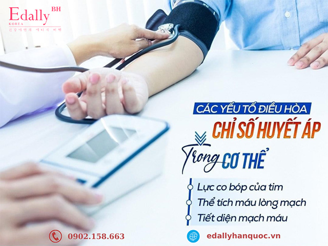 Các yếu tố điều hòa chỉ số huyết áp trong cơ thể