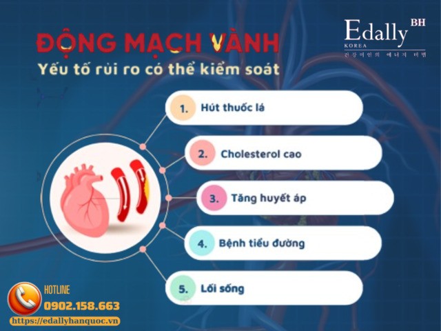 Các yếu tố nguy cơ gây bệnh động mạch vành có thể kiểm soát được