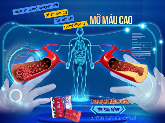 Nguyên tắc áp dụng "Nhân cường tật nhược" trong điều trị bệnh mỡ máu cao