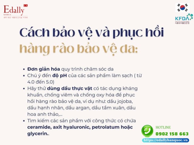 Cách bảo vệ và phục hồi hàng rào bảo vệ da bị suy yếu và tổn thương