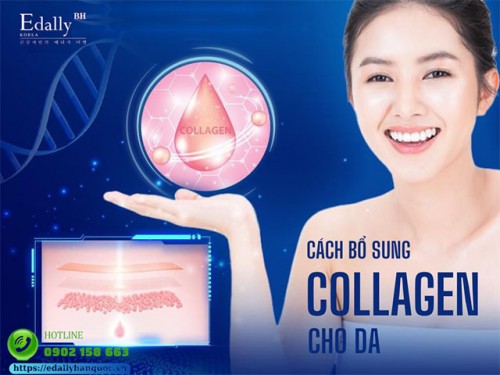 Cách Bổ Sung Collagen Cho Da Khoa Học, An Toàn Và Hiệu Quả