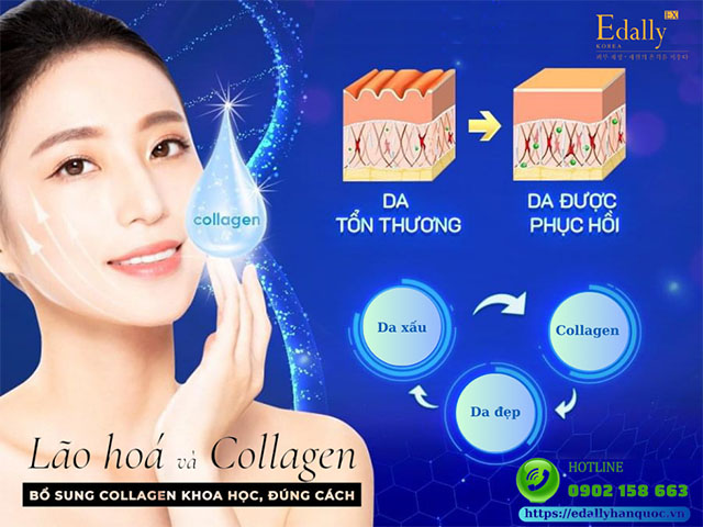 Cách bổ sung collagen cho da một cách khoa học, an toàn và hiệu quả nhất