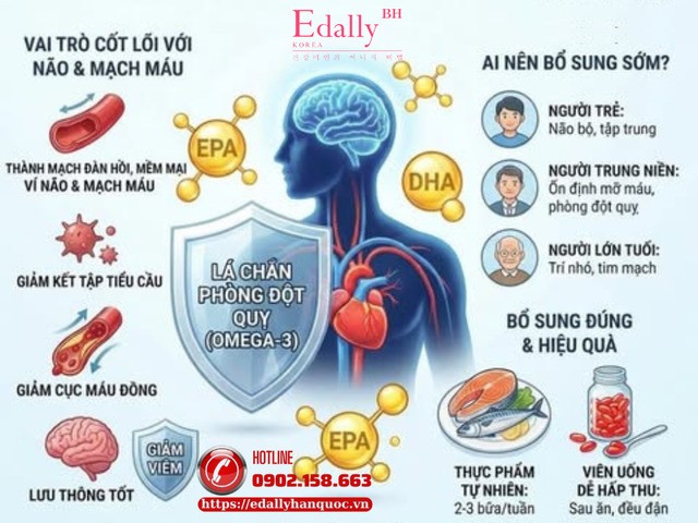 Cách bổ sung Omega-3 giúp giảm nguy cơ đột quỵ hiệu quả ở người trung niên Cách bổ sung Omega-3 giúp giảm nguy cơ đột quỵ hiệu quả ở người trung niên