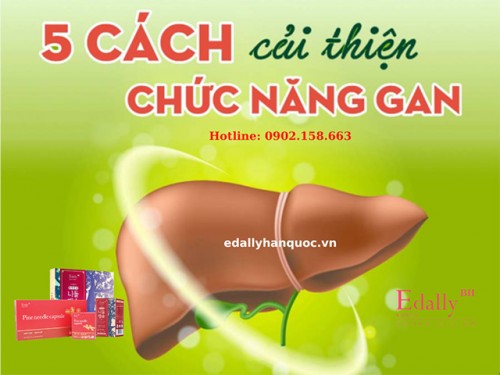 Cách Cải Thiện Chức Năng Gan