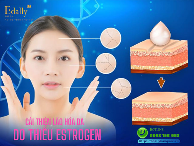 Cách cải thiện da lão hóa do thiếu hụt nội tiết tố Estrogen ở phụ nữ