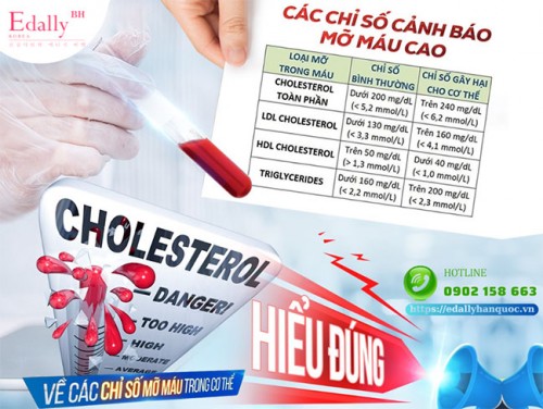 Cách Đọc Chỉ Số Cholesterol Khi Xét Nghiệm Mỡ Máu