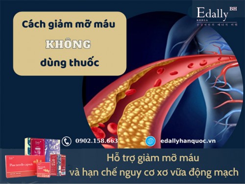 6 Cách Giảm Mỡ Máu Cao Không Dùng Thuốc Giúp Hạ Mỡ Máu Tự Nhiên