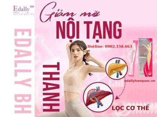 Cách Giảm Mỡ Nội Tạng An Toàn