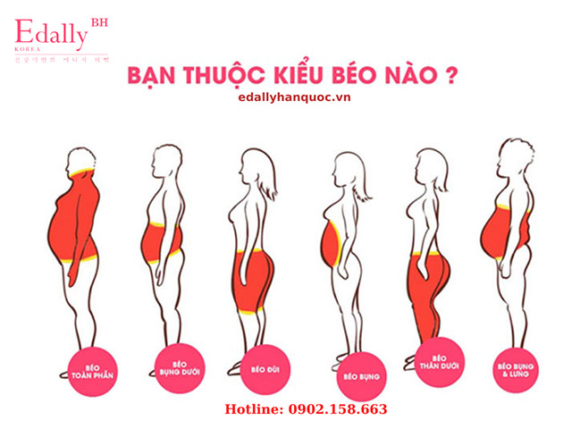 Cách Giảm Mỡ Hiệu Quả Theo Từng Loại Hình Cơ Thể