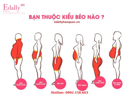 Cách Giảm Mỡ Hiệu Quả Theo Từng Loại Hình Cơ Thể