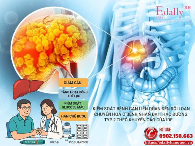 Chẩn Đoán Và Điều Trị Bệnh Gan Liên Quan Đến Rối Loạn Chuyển Hóa Ở Bệnh Nhân Đái Tháo Đường Type 2