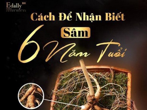 Cách Để Nhận Biết Nhân Sâm 6 Năm Tuổi Hàn Quốc