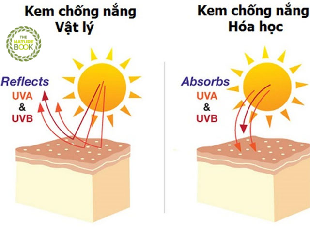 Sự khác nhau của kem chống nắng vật lý và kem chống nắng hóa học