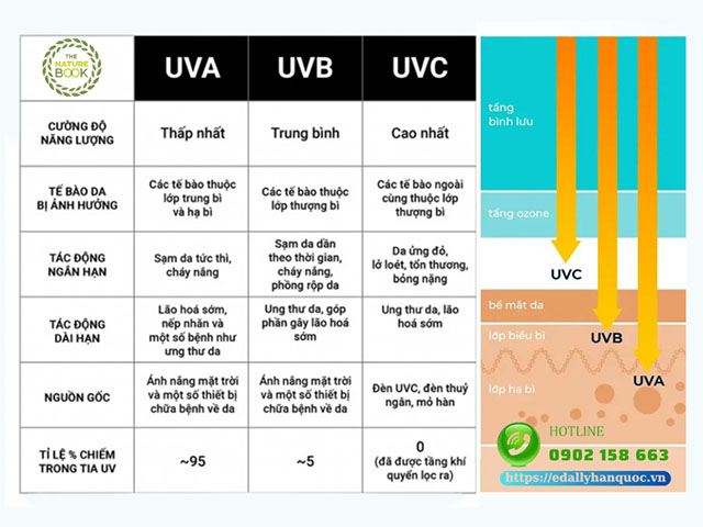 Cách phân biệt tia UVA - UVB - UVC chi tiết và chính xác nhất