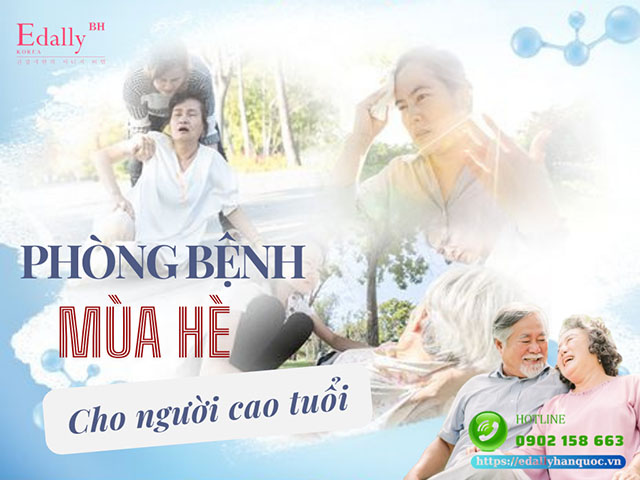 Cách phòng bệnh cho người cao tuổi trong mùa hè