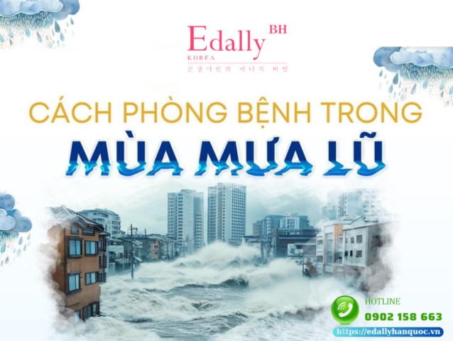 Cách phòng bệnh trong mùa mưa lũ như thế nào?