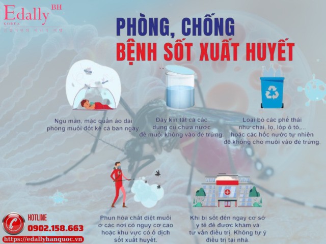 Cách phòng chống bệnh sốt xuất huyết