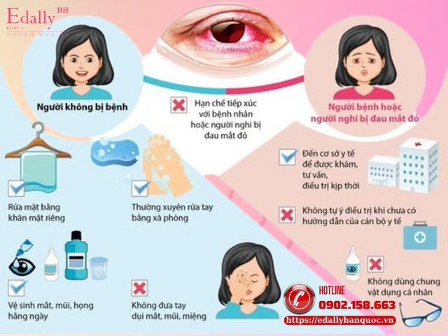 Cách biện pháp phòng chống bệnh đau mắt đỏ Cách biện pháp phòng chống bệnh đau mắt đỏ