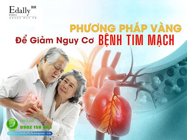 Cách phòng ngừa nguy cơ bệnh tim mạch ở mọi độ tuổi