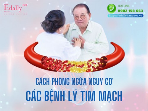 Làm Sao Để Phòng Ngừa Nguy Cơ Bệnh Lý Tim Mạch?