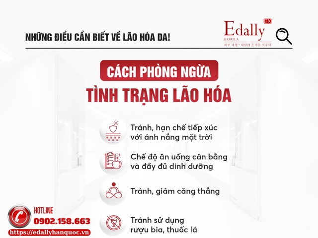 Cách phòng ngừa tình trạng lão hóa da