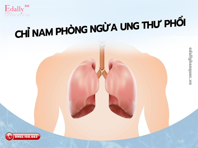 Những nguyên tắc để phòng chống bệnh ung thư phổi