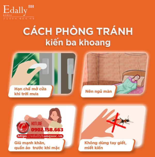 Cách phòng tránh kiến ba khoang