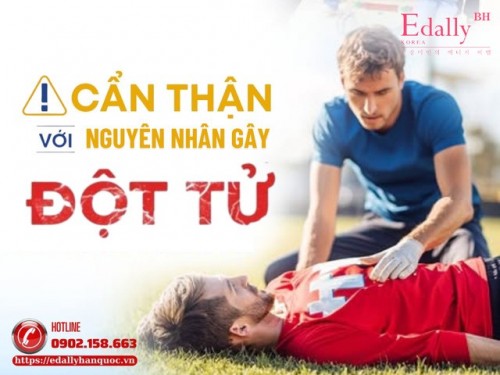 Đột Tử Nguyên Nhân Do Đâu Và Làm Sao Để Phòng Chống?