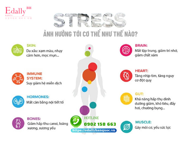 Căng thẳng Stress ảnh hưởng đến cơ thể như thế nào?