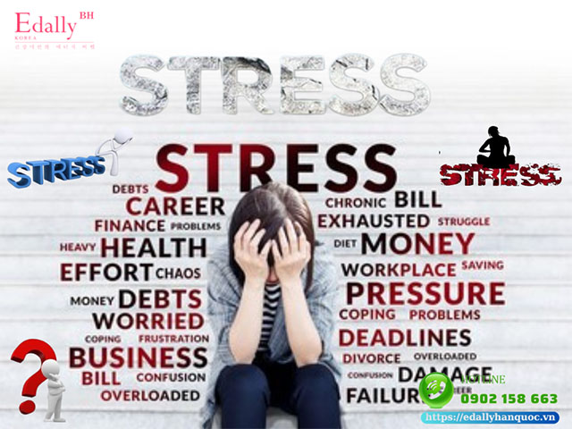 Stress hay còn gọi là căng thẳng là một phản ứng tự nhiên và nó xảy ra với tất cả mọi người