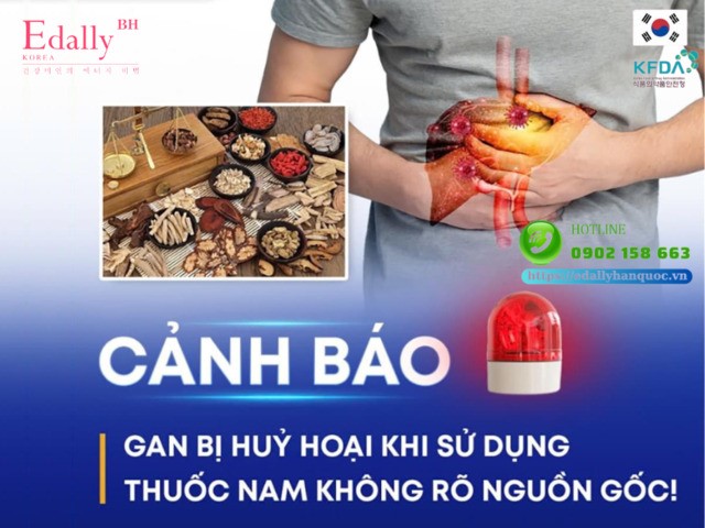 Cảnh báo: Gan bị huỷ hoại khi sử dụng thuốc nam không rõ nguồn gốc