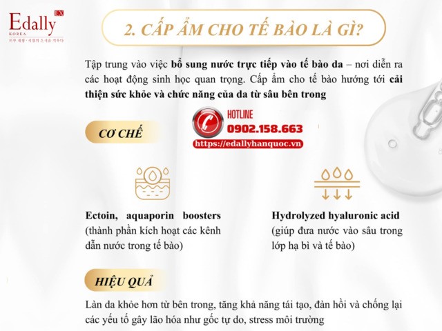 Cấp ẩm cho tế bào là như thế nào?