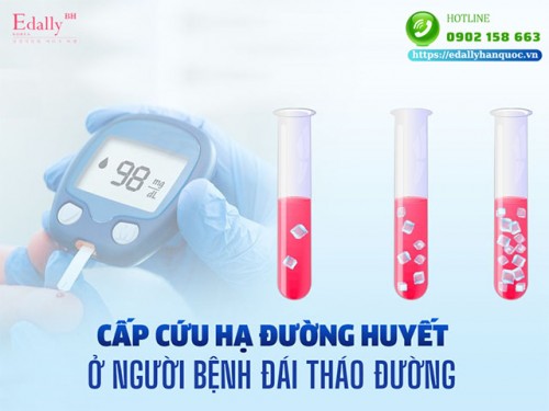 Cách Xử Trí Hạ Đường Huyết Ở Bệnh Nhân Đái Tháo Đường